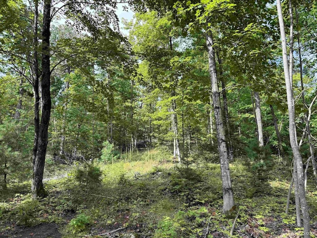 TBD Neejee Rd, Negaunee, MI 49866