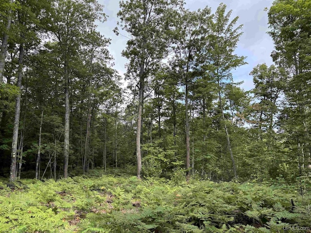 TBD Neejee Rd, Negaunee, MI 49866