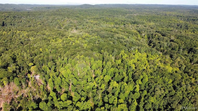 TBD Neejee Rd, Negaunee, MI 49866