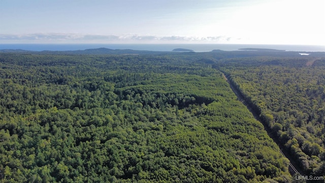 TBD Neejee Rd, Negaunee, MI 49866