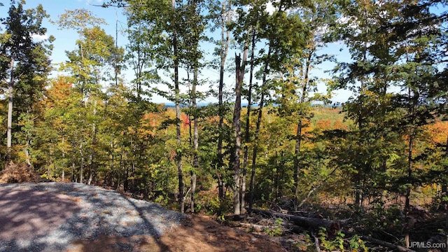 TBD Neejee Rd, Negaunee, MI 49866