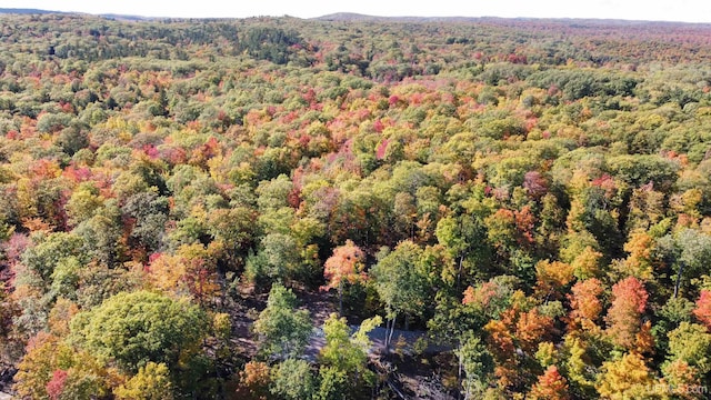 TBD Neejee Rd, Negaunee, MI 49866