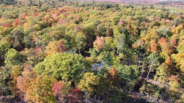 TBD Neejee Rd, Negaunee, MI 49866