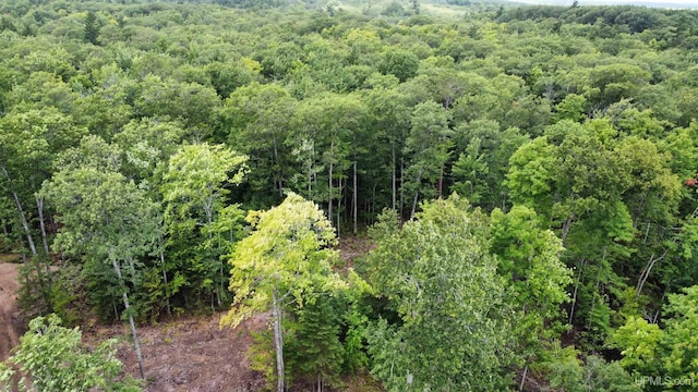 TBD Neejee Rd, Negaunee, MI 49866