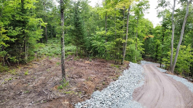 TBD Neejee Rd, Negaunee, MI 49866