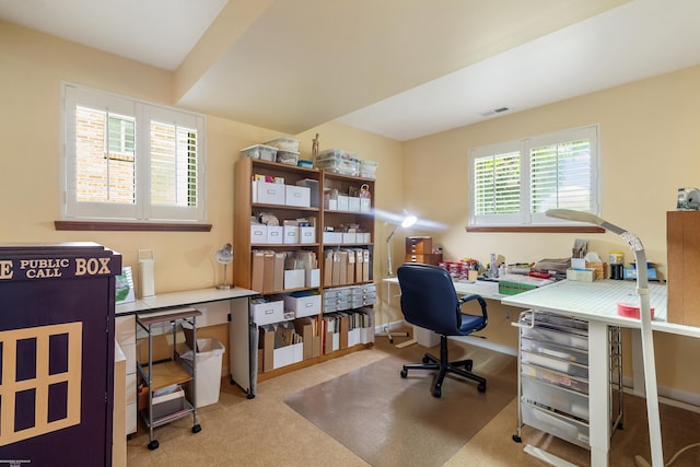 3667 Alderdale Dr, Sterling Heights, MI 48310 - office space with carpet