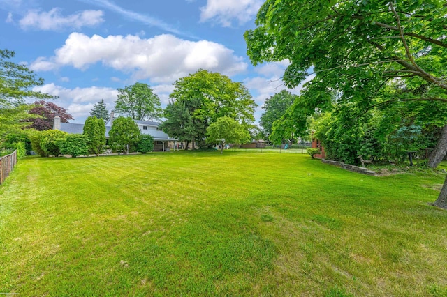 19300 Briarwood St, Clinton Township, MI 48036 - view of yard