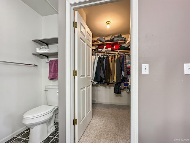 8302 W Burntwood P.15 Dr, Gladstone, MI 49837 - bathroom with toilet and a walk in closet