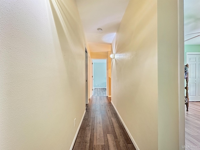 8302 W Burntwood P.15 Dr, Gladstone, MI 49837 - hall with dark wood-style floors and baseboards