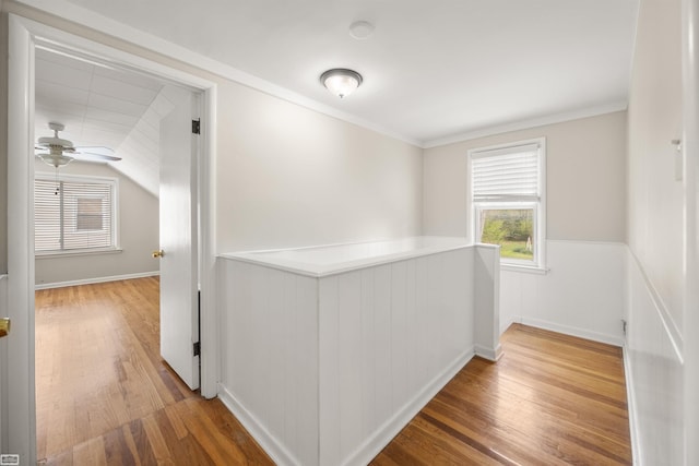 1006 W 12 Mile Rd, Royal Oak, MI 48073 - corridor with wood finished floors, wainscoting, an upstairs landing, and ornamental molding