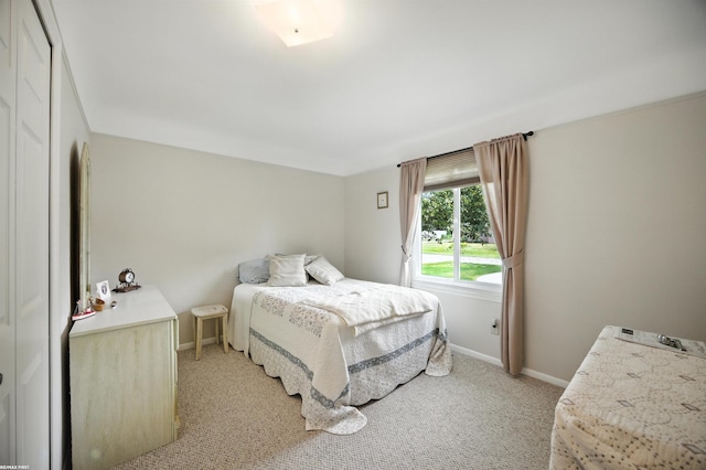 5350 Fieldcrest Dr, Shelby Twp, MI 48316 - bedroom featuring light carpet