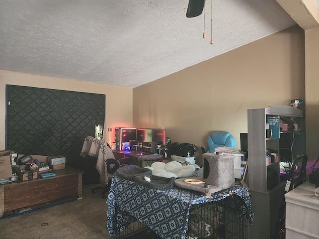 811 N Old State Ave, Harrison, MI 48625 - bedroom featuring carpet, a textured ceiling, and ceiling fan