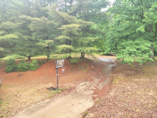 811 N Old State Ave, Harrison, MI 48625 - view of yard