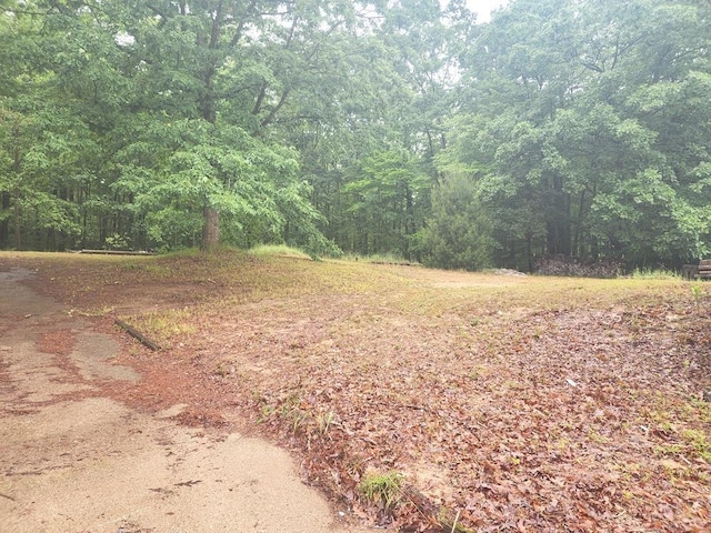 811 N Old State Ave, Harrison, MI 48625 - view of road with a view of trees