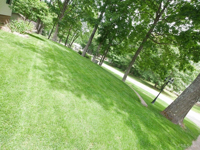 2004 Hunters Ln, Houghton, MI 49931 - view of green lawn