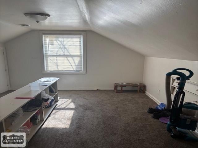 10530 Lakepointe St, Detroit, MI 48224 - bonus room featuring lofted ceiling and carpet