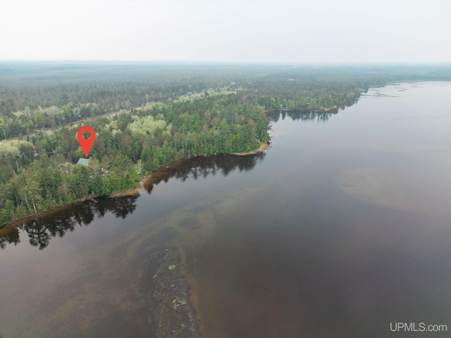 14038 24.5 Ln, Rapid River, MI 49878 - aerial view of property and surrounding area with a heavily wooded area and a nearby body of water