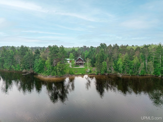14038 24.5 Ln, Rapid River, MI 49878 - water view with a heavily wooded area