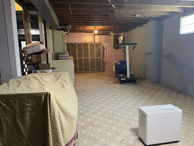 754 Duncan Ave, Ishpeming, MI 49849 - below grade area with carpet flooring and electric panel