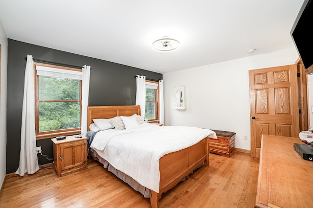 6242 N Geneva Rd, Coleman, MI 48618 - bedroom with light wood-style floors and baseboards