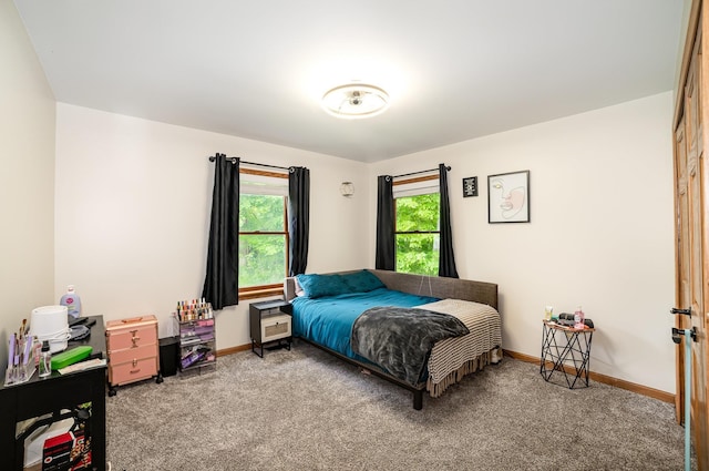 6242 N Geneva Rd, Coleman, MI 48618 - bedroom with carpet