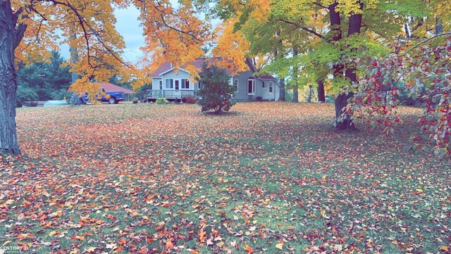 4467 Kings Corner Rd, Glennie, MI 48737 - view of yard