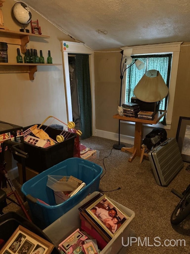 E2903 H44 Rd, Traunik, MI 49891 - sitting room with a textured ceiling, lofted ceiling, and carpet
