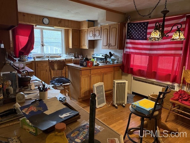 E2903 H44 Rd, Traunik, MI 49891 - kitchen with baseboard heating, light wood-style floors, a textured ceiling, and brown cabinetry