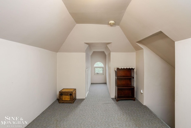 1258-1260 Lakepointe St, Grosse Pointe, MI 48230 - bonus room with carpet and lofted ceiling
