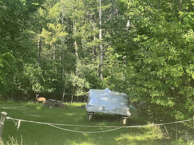 UNIT10 Pinelands Point Rd, Gladwin, MI 48624