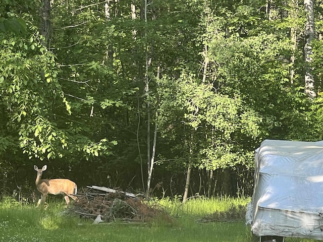UNIT10 Pinelands Point Rd, Gladwin, MI 48624