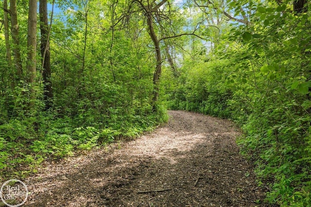 2940 Buell Rd, Oakland Twp, MI 48363 - view of tree filled area
