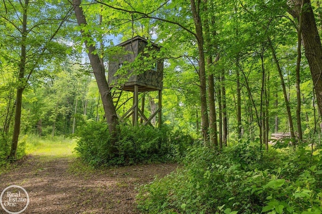 2940 Buell Rd, Oakland Twp, MI 48363 - view of tree filled area