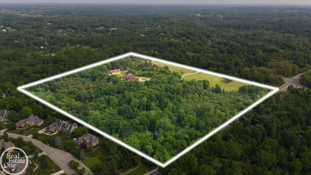 2940 Buell Rd, Oakland Twp, MI 48363 - aerial view of property and surrounding area featuring a forest and property boundaries highlighted