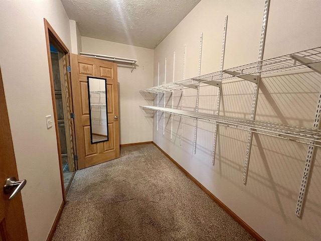 876 N Sanford Ln, Au Gres, MI 48703 - spacious closet with carpet flooring