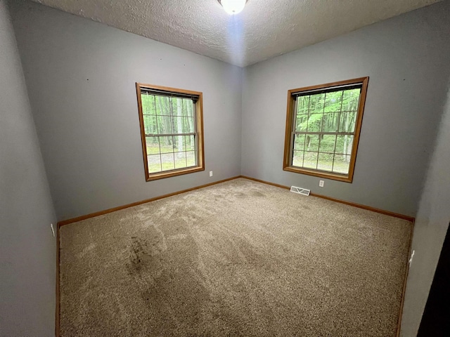 876 N Sanford Ln, Au Gres, MI 48703 - carpeted empty room featuring healthy amount of natural light and a textured ceiling