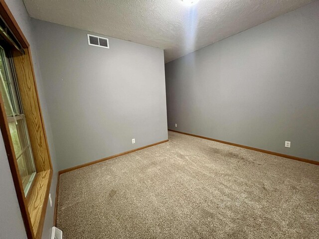 876 N Sanford Ln, Au Gres, MI 48703 - empty room featuring carpet and a textured ceiling