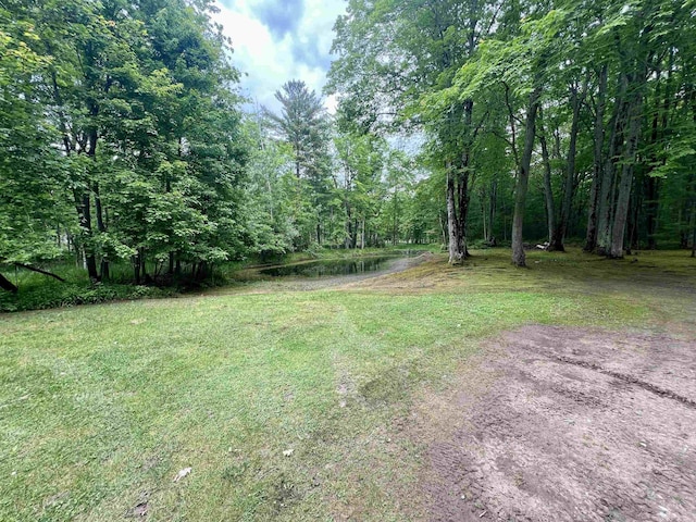 876 N Sanford Ln, Au Gres, MI 48703 - view of grassy yard