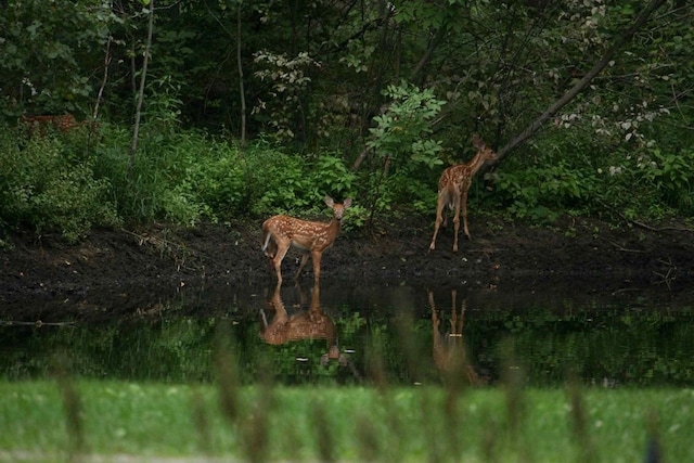 876 N Sanford Ln, Au Gres, MI 48703 - view of nature