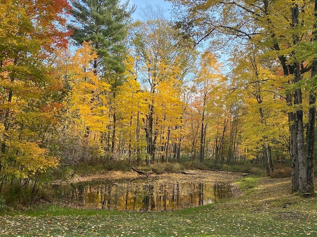 876 N Sanford Ln, Au Gres, MI 48703 - view of woods