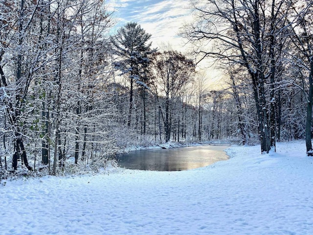 876 N Sanford Ln, Au Gres, MI 48703 - water view with a forest