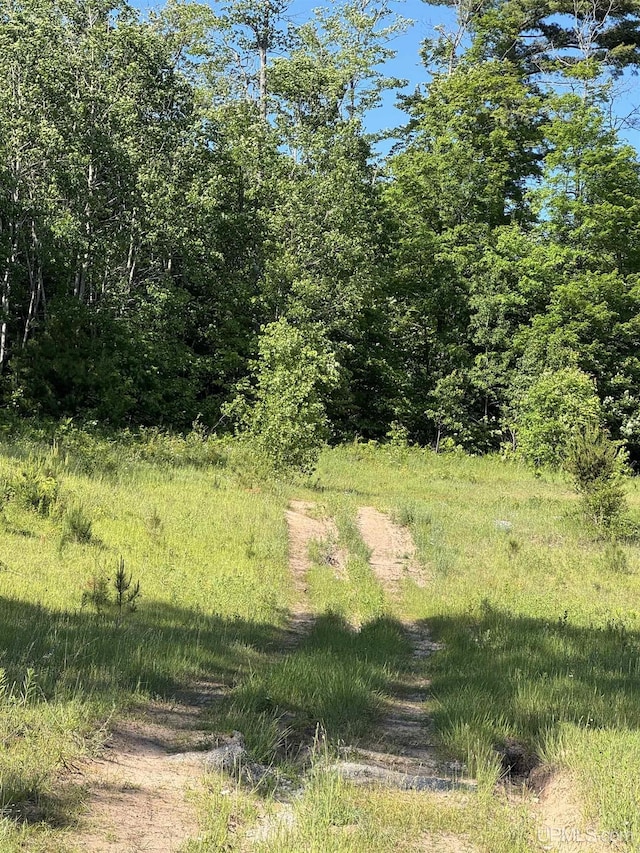 E8310 County Road 440th Hwy, Wetmore, MI 49895 - view of undeveloped land
