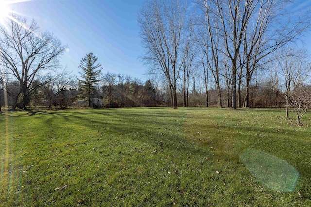 3833 Hermansau Rd, Saginaw, MI 48603 - view of green lawn featuring a forest view