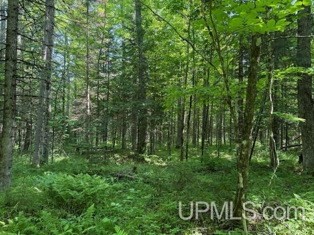 TBD 1st Crossing Road, Florence T-Wi, WI 54121