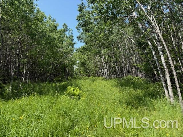 TBD 1st Crossing Road, Florence T-Wi, WI 54121