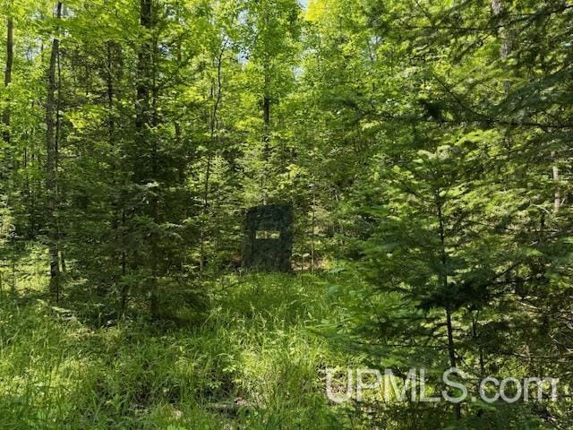 TBD 1st Crossing Road, Florence T-Wi, WI 54121