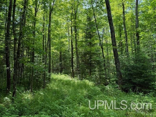 TBD 1st Crossing Road, Florence T-Wi, WI 54121