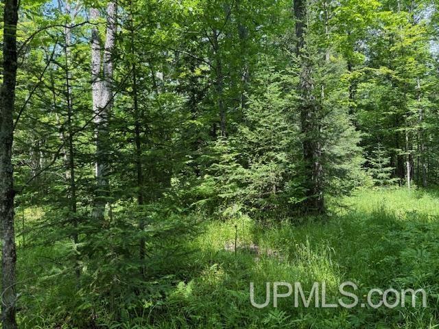 TBD 1st Crossing Road, Florence T-Wi, WI 54121