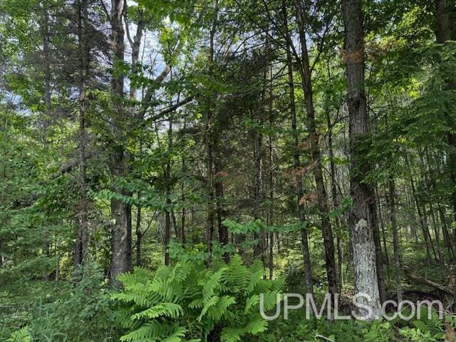 TBD 1st Crossing Road, Florence T-Wi, WI 54121