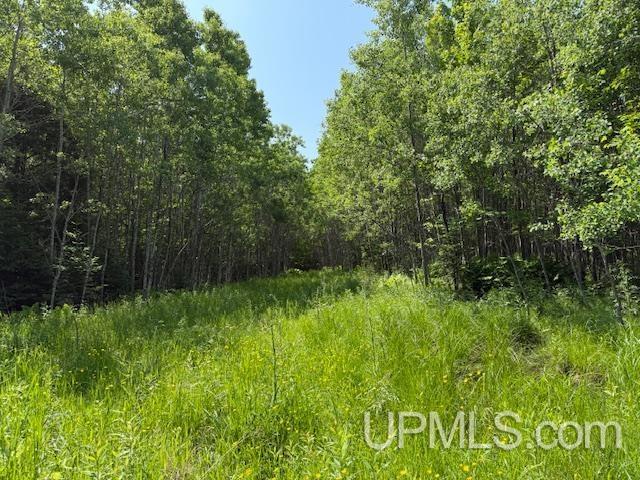 TBD 1st Crossing Road, Florence T-Wi, WI 54121